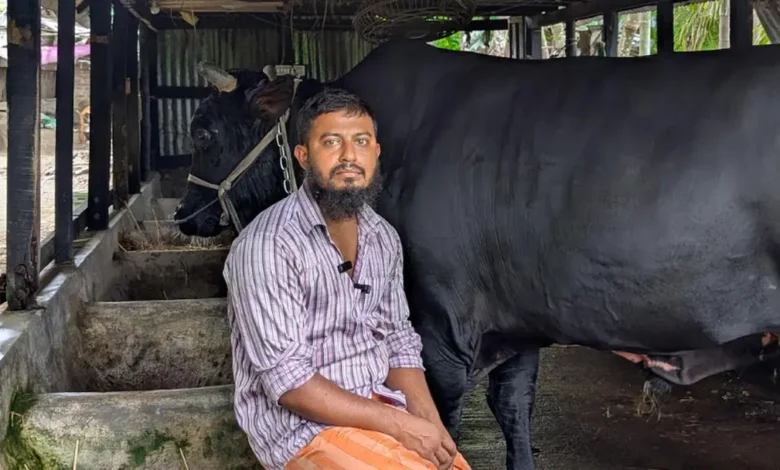 patuakhali 20260614143029
