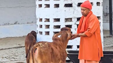 w 1280h 720format jpgimgid 01kg1spm92bpqmz16xvjxet5taimgname yogi adityanath gorakhnath temple visit gau sewa 1769587036450