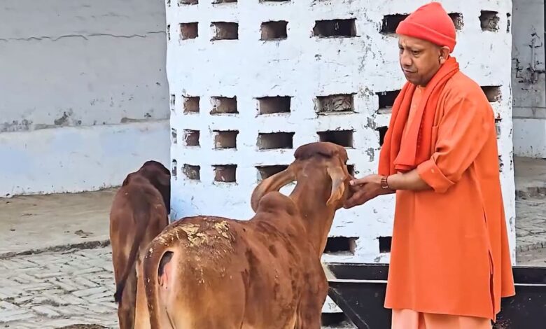 w 1280h 720format jpgimgid 01kg1spm92bpqmz16xvjxet5taimgname yogi adityanath gorakhnath temple visit gau sewa 1769587036450