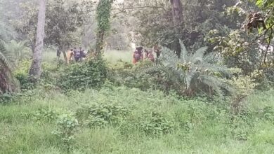 ইমেজ 70 6a22bed9a21e0